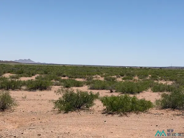 S El Paso St, Columbus, NM 88029