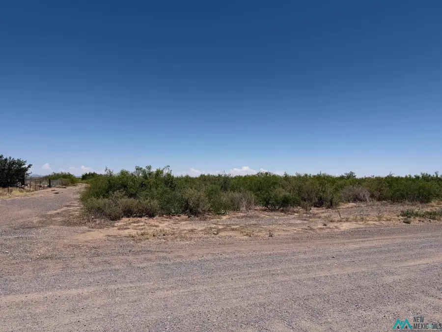 N El Paso St, Columbus, NM 88029 - #3