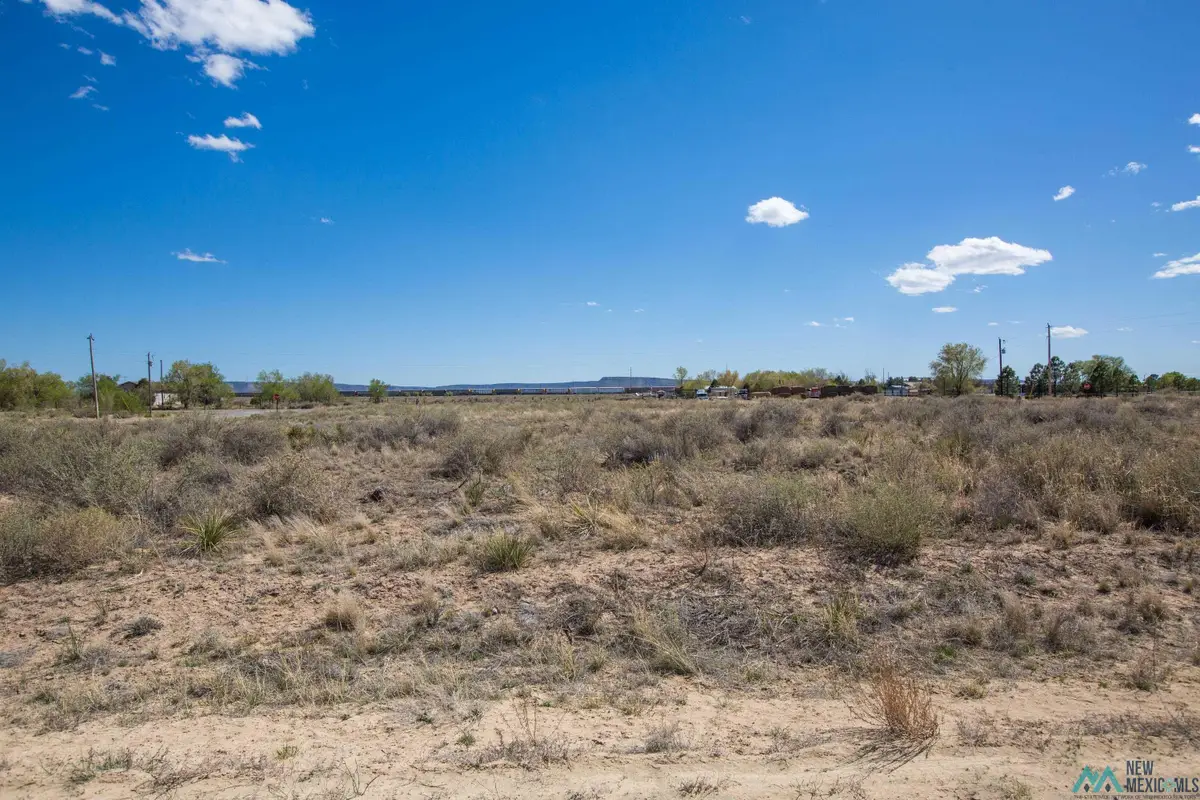 Lot: 3-6 Block 12, Willard, NM 87063 - #1