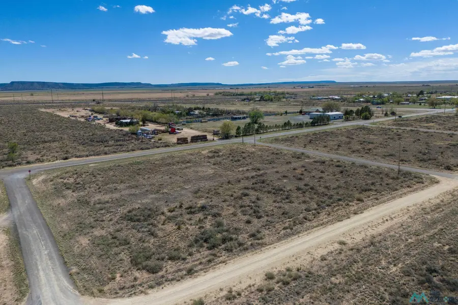 Lot: 3-6 Block 12, Willard, NM 87063 - #3