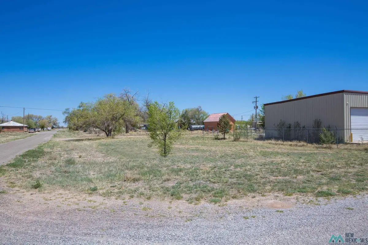 Lot: 1-2 Block 14, Willard, NM 87063 - #1