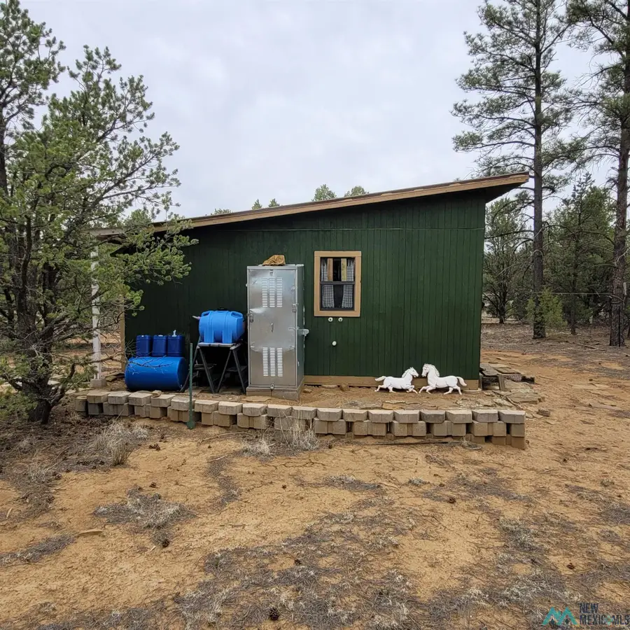 1017 Wild Horse Ranch Road, Pie Town, NM 5 - #3