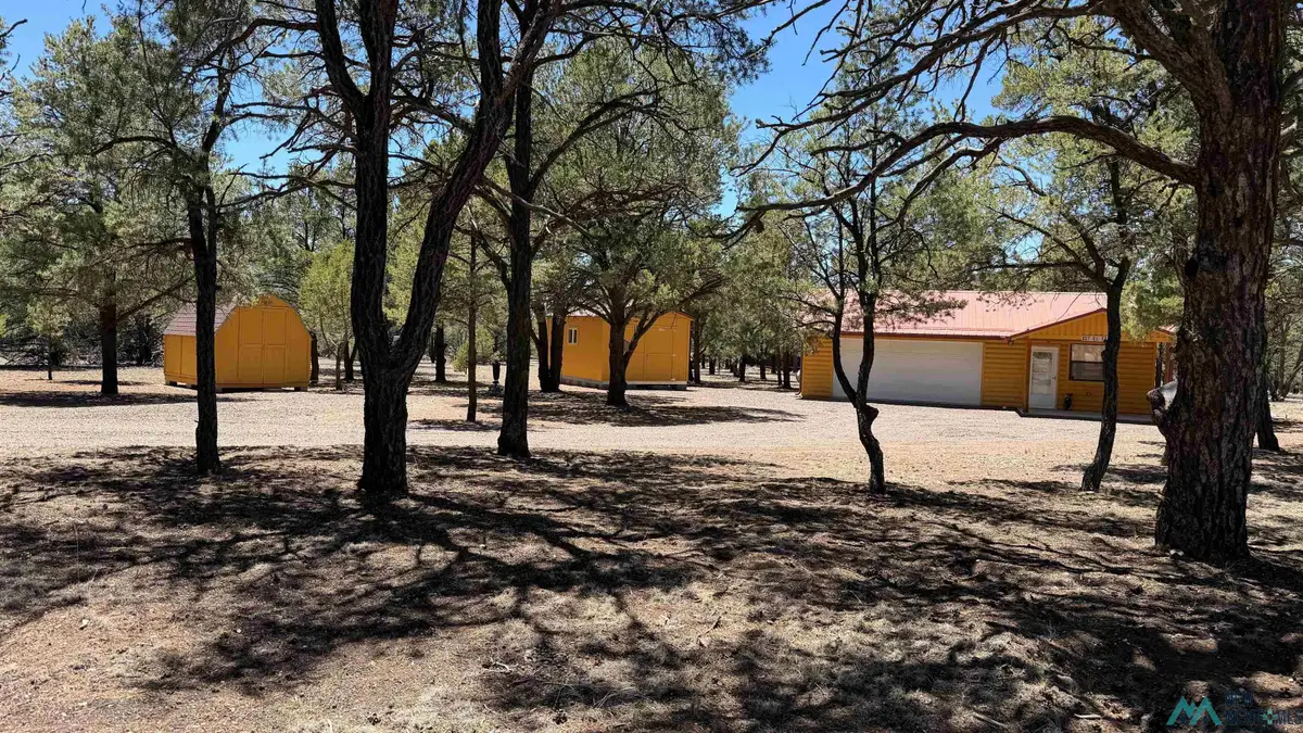 227 El Caso Rd Road, Quemado, NM 87829 - #1