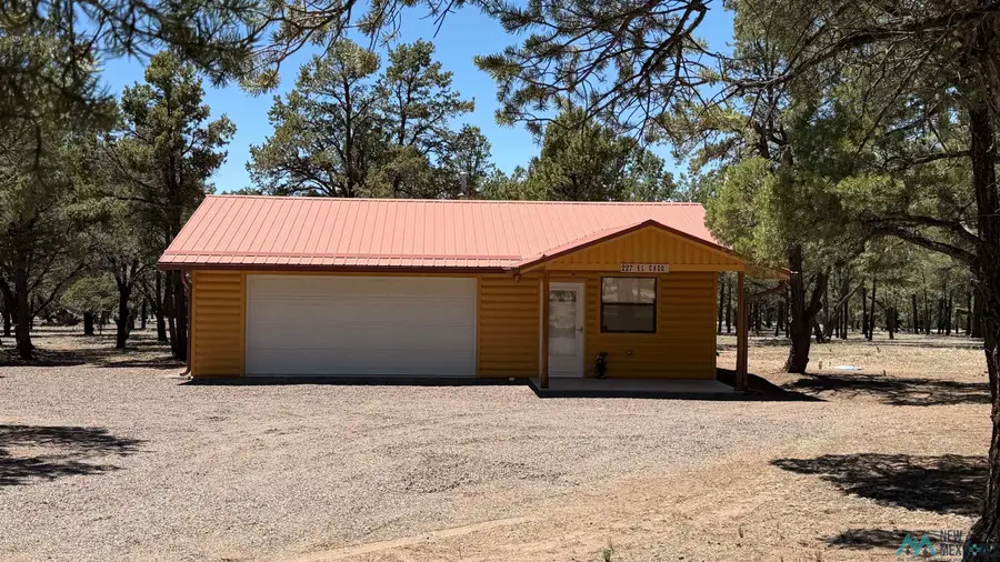 227 El Caso Rd Road, Quemado, NM 87829 - #2