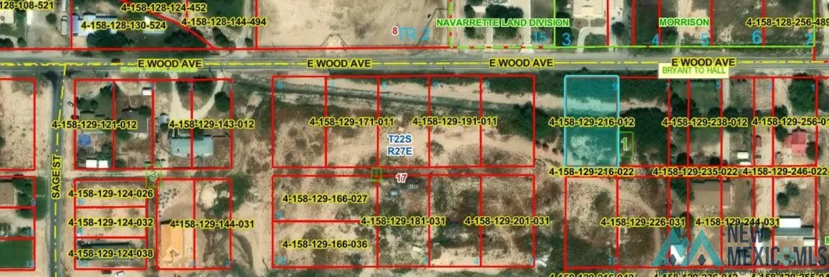 S of 912 E Wood Avenue, Carlsbad, NM 88220 - #1