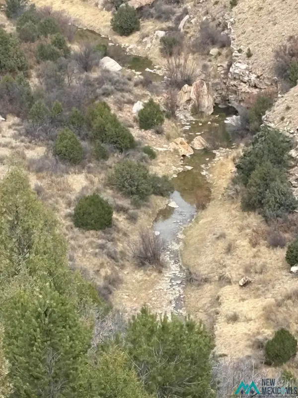 CR 29 County Road 29 Road, Wagon Mound, NM 87735