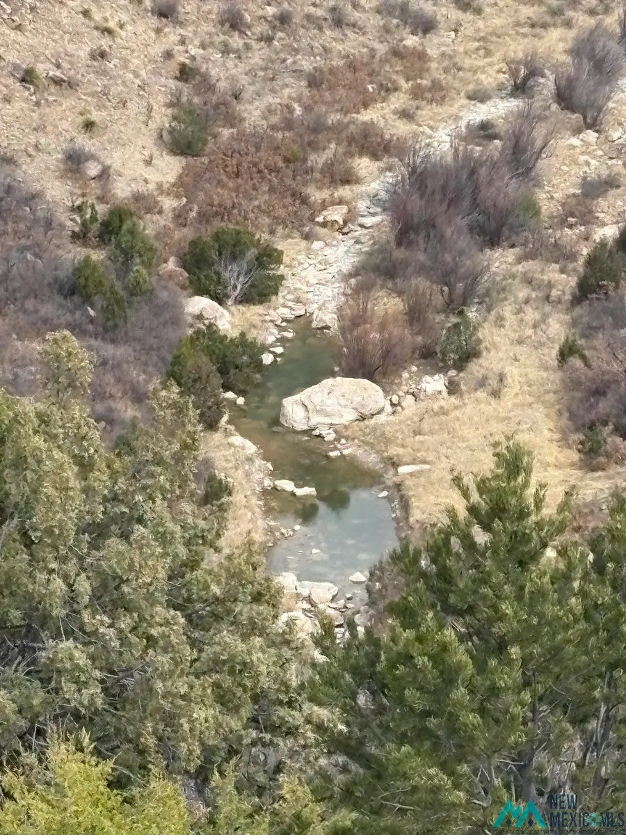 CR 29 County Road 29 Road, Wagon Mound, NM 87735 - #2