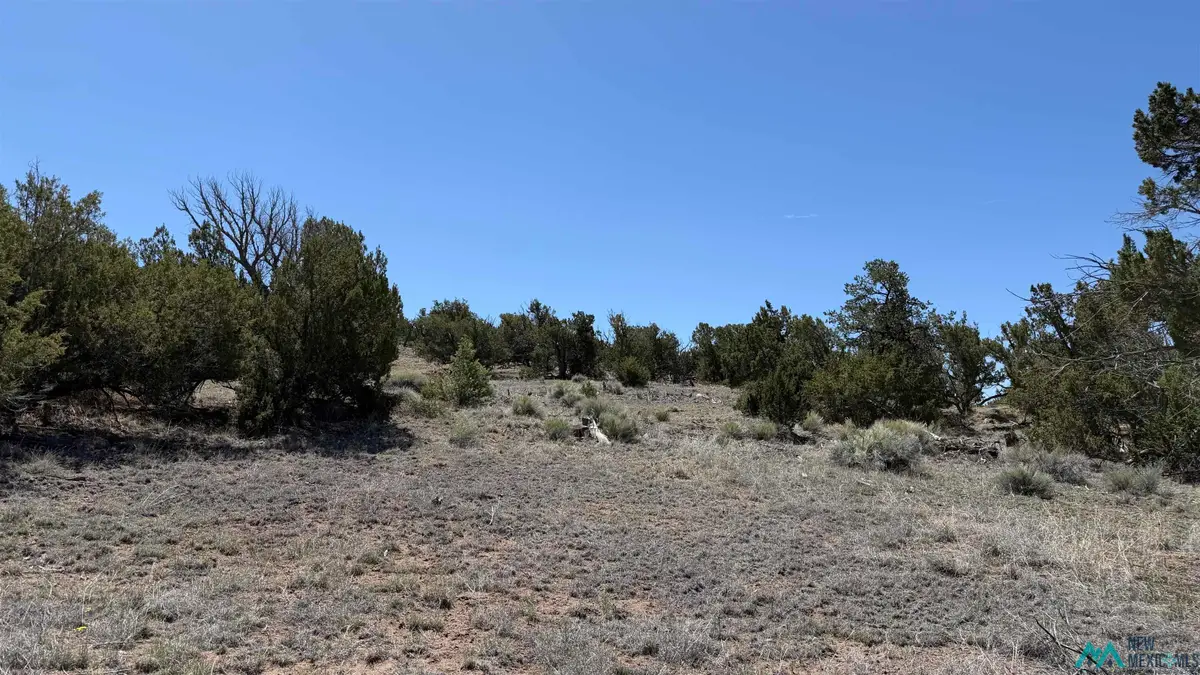 TBD Pima Drive Road, Quemado, NM 87829 - #1