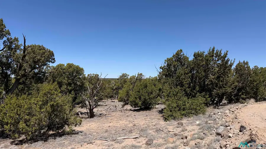 TBD Pima Drive Road, Quemado, NM 87829 - #2