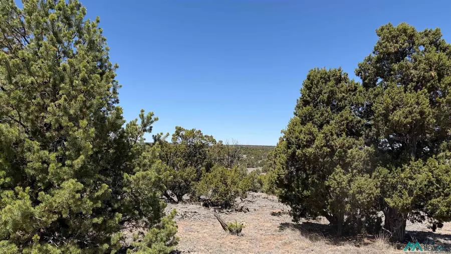 TBD Pima Drive Road, Quemado, NM 87829 - #3