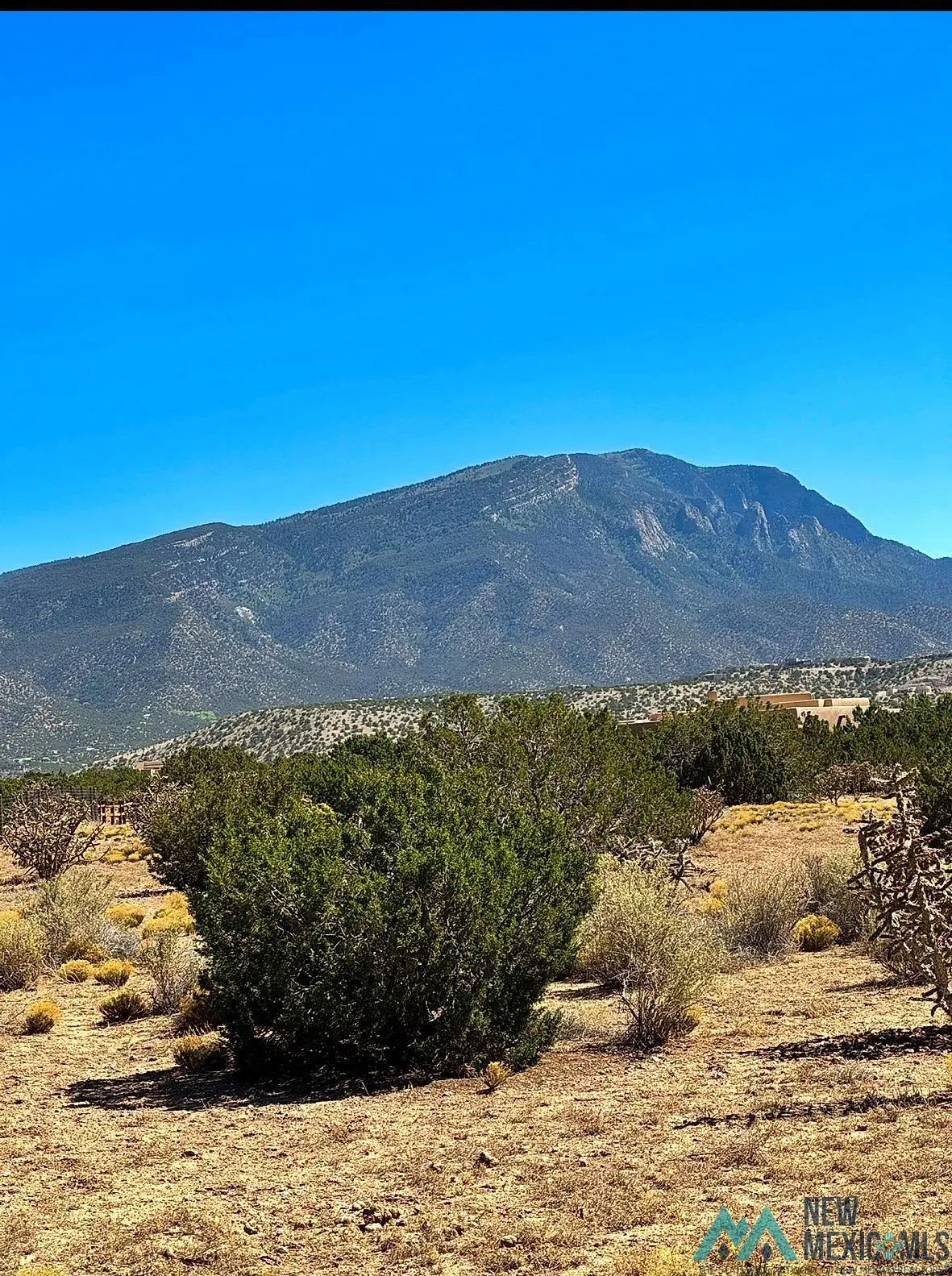 3 N Pony Court, Placitas, NM 87043 - #1