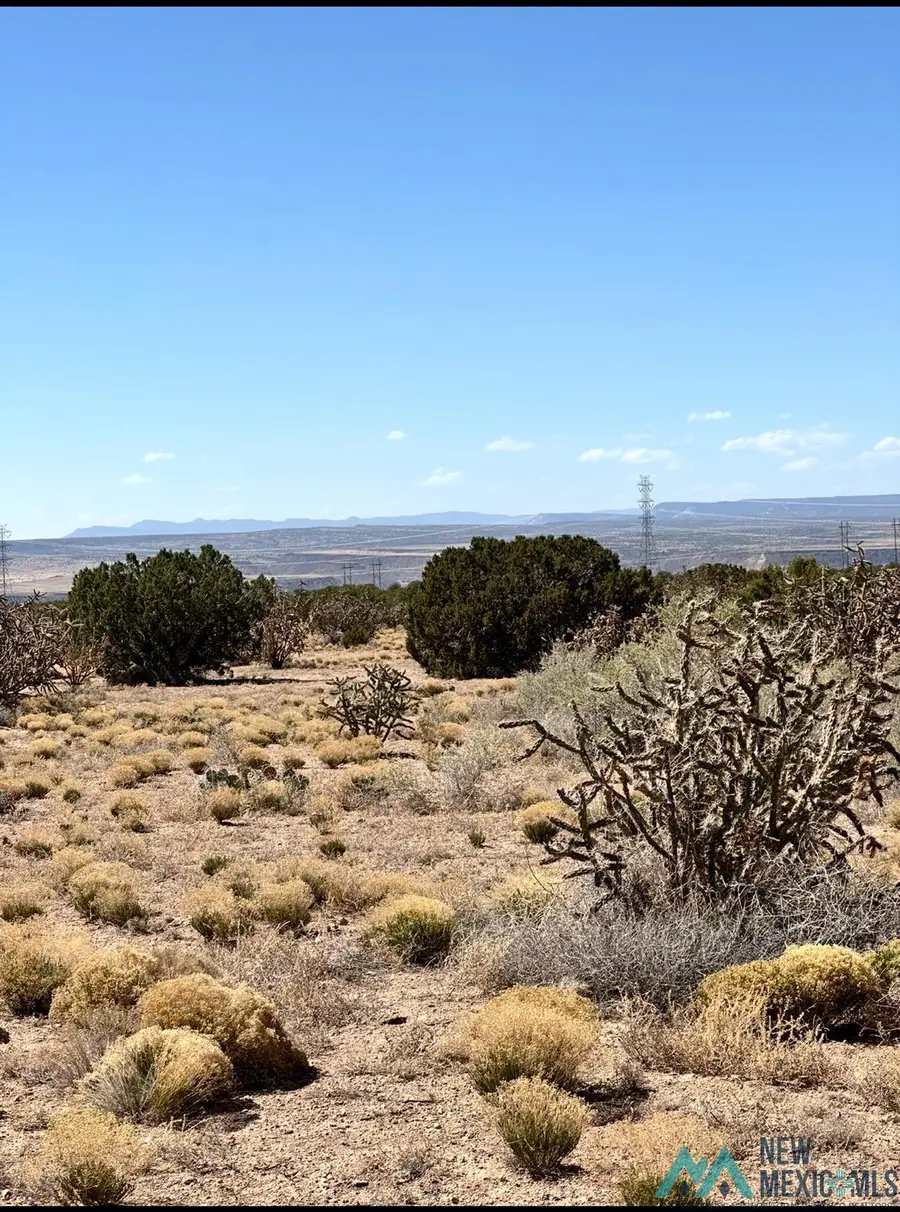 3 N Pony Court, Placitas, NM 87043 - #2