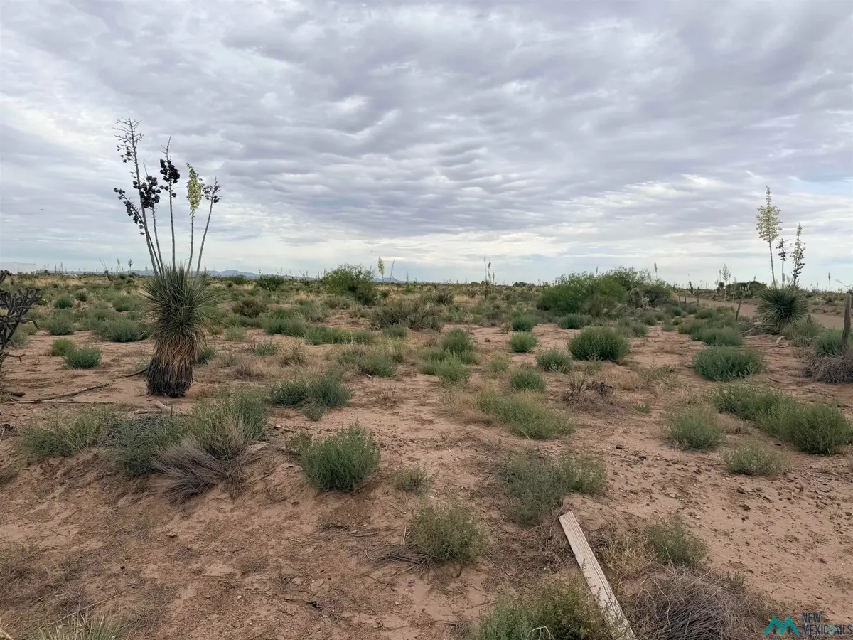 XXXX Hondale Rd Sw, Deming, NM 88030 - #1