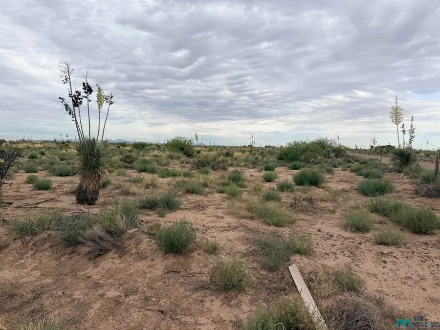 XXXX Hondale Rd Sw, Deming, NM 88030 - #2