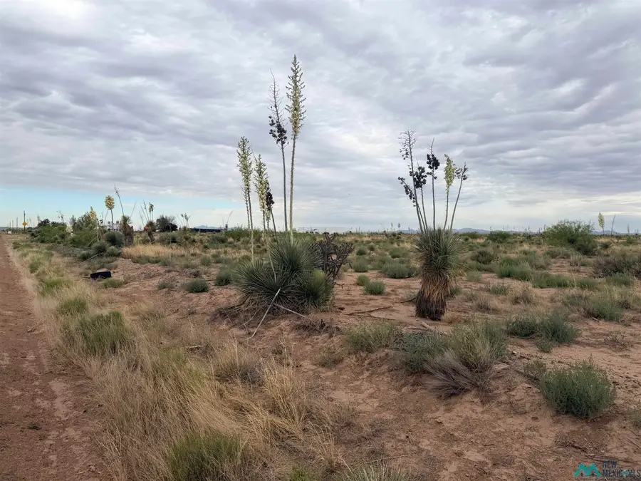 XXXX Hondale Rd Sw, Deming, NM 88030 - #3