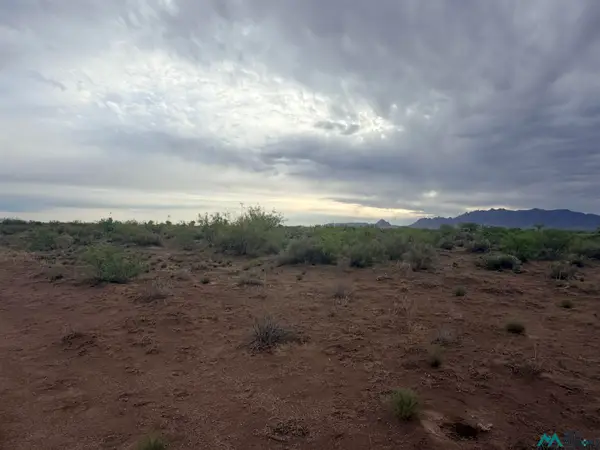 XXXX Camino De Valdes Rd Sw, Deming, NM 88030