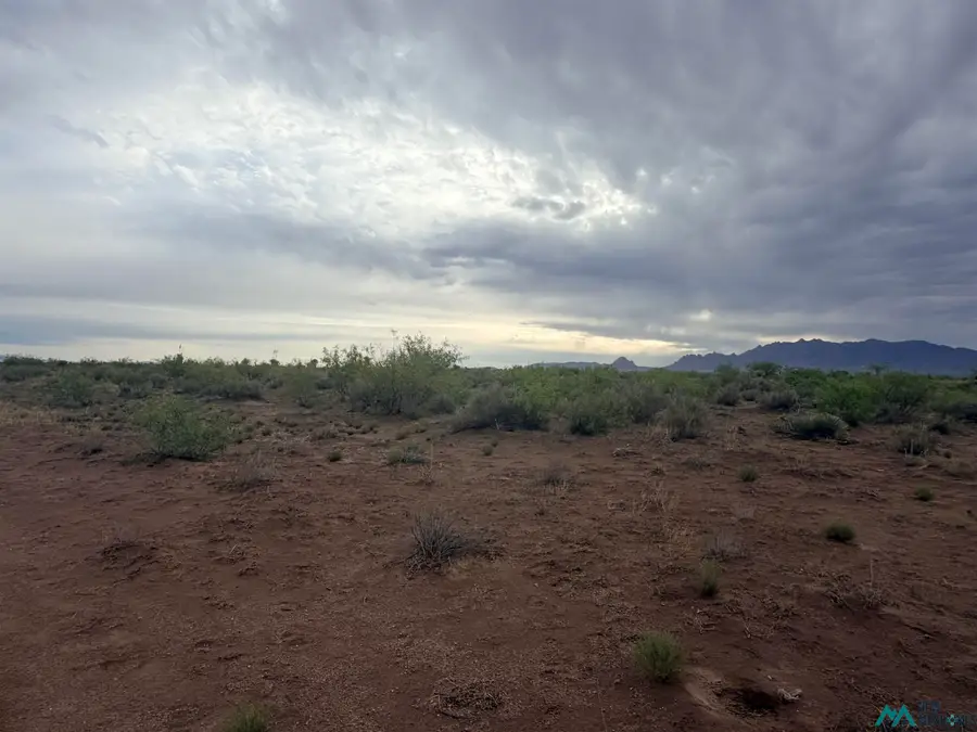 XXXX Camino De Valdes Rd Sw, Deming, NM 88030 - #2