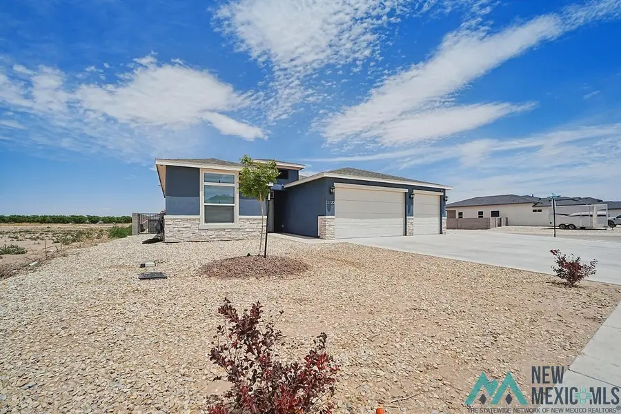 3720 N Pat Garrett Road, Carlsbad, NM 88220 - #3