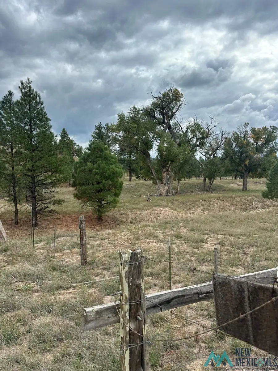 Hooser, Luna, NM 87824 - #2