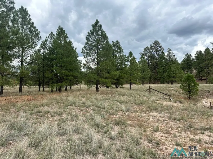 Hooser, Luna, NM 87824 - #3