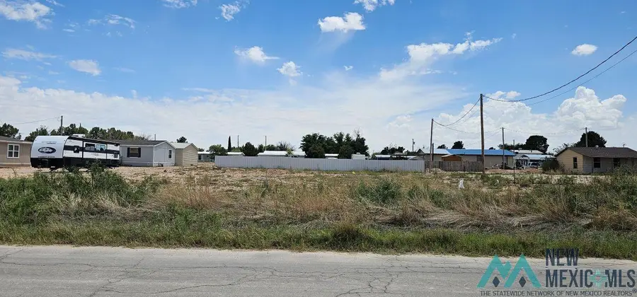 E of 111 Russell Street, Carlsbad, NM 88220 - #2