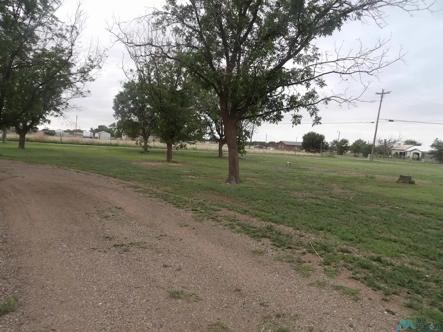 178 Nm 267 Highway, Portales, NM 88130 - #3