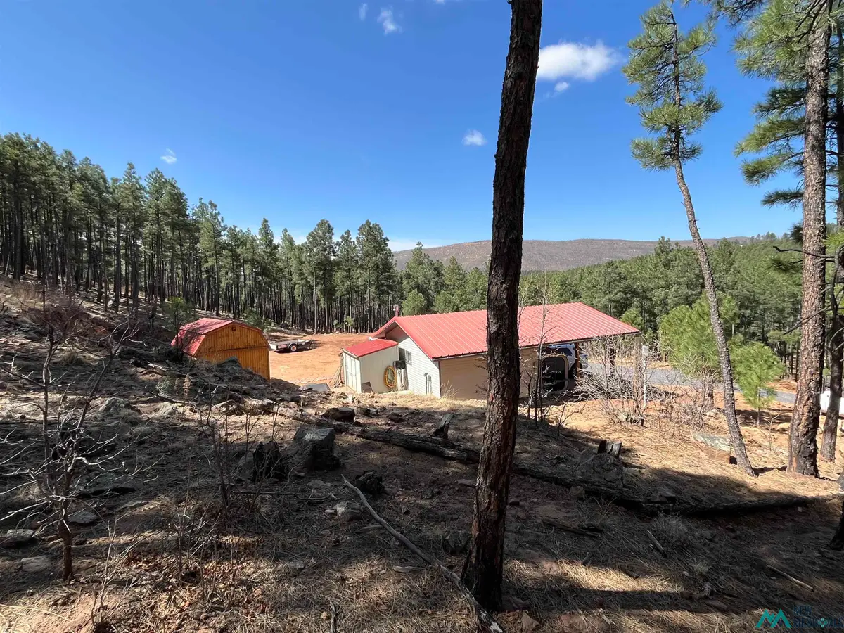 17 Pine Tree, Buena Vista, NM 87712 - #1