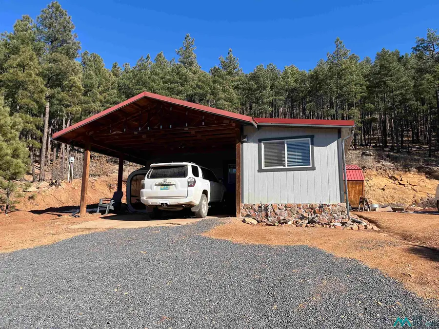 17 Pine Tree, Buena Vista, NM 87712 - #2