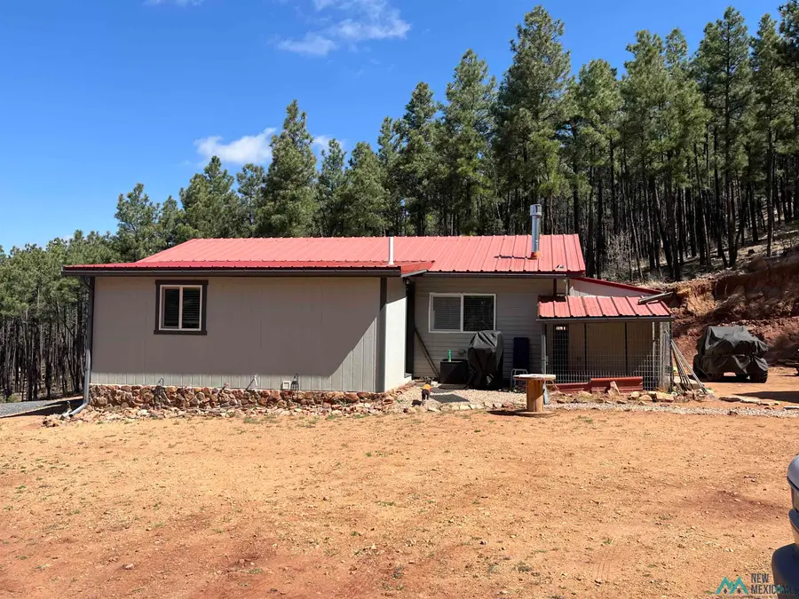 17 Pine Tree, Buena Vista, NM 87712 - #3