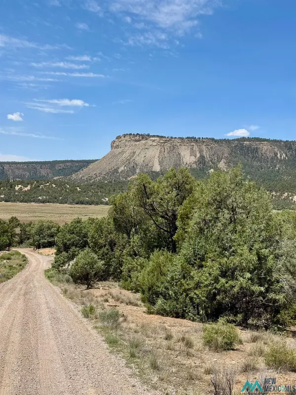 TBD Cedar Circle, Los Ojos, NM 87575