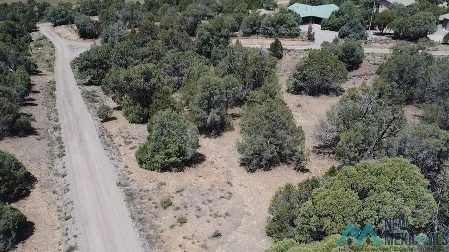 Cedar Circle, Los Ojos, NM 87575 - #2