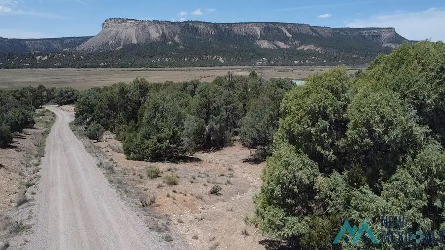 Cedar Circle, Los Ojos, NM 87575 - #3