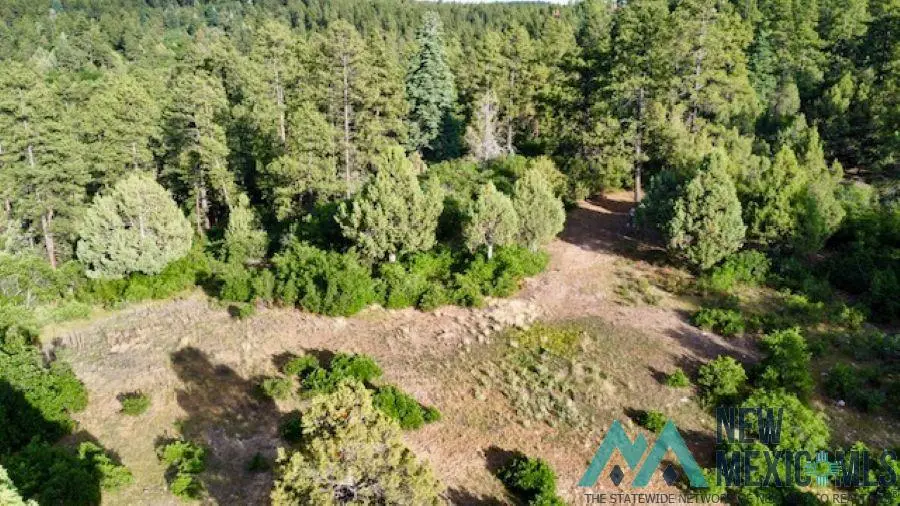 TBD Log Ridge Trail Trail, Chama, NM 87520 - #2