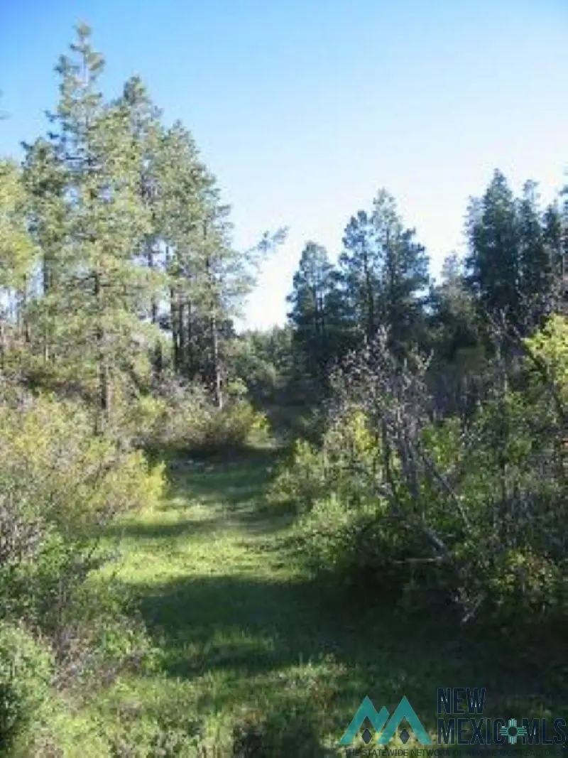 Owls 2A Blue Spruce Trail, Chama, NM 87520 - #2