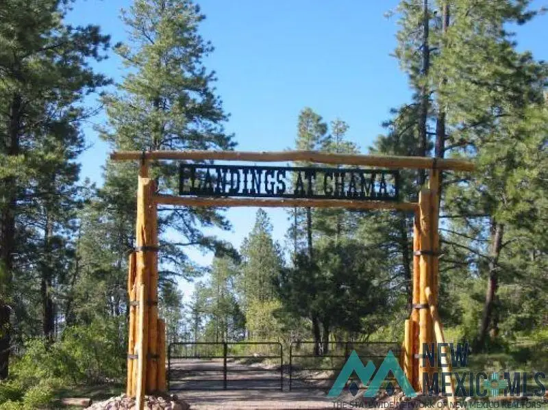 Owls 2A Blue Spruce Trail, Chama, NM 87520 - #3