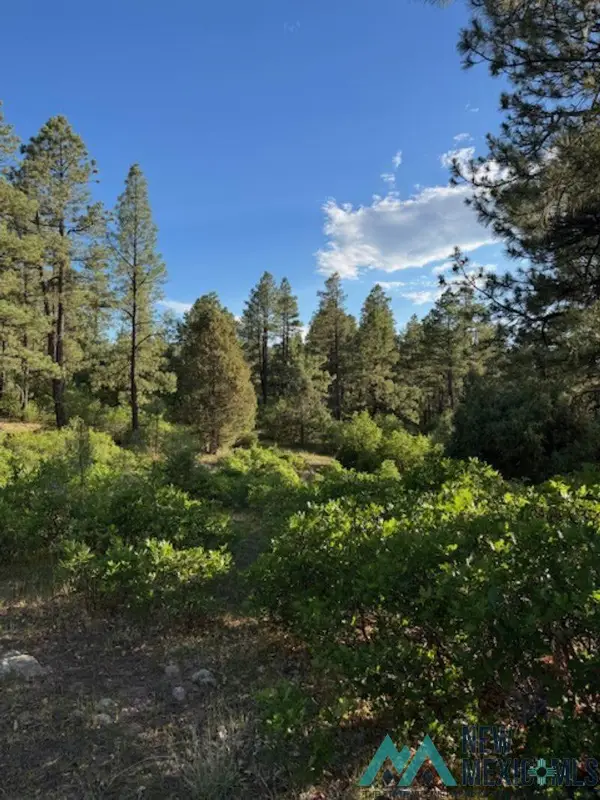 TBD Eagles 2a Road, Chama, NM 87520