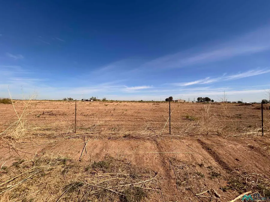 E of 356 Brantley Road, Carlsbad, NM 88220 - #2