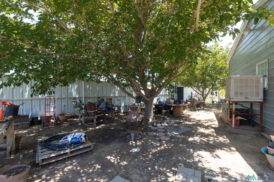 1509 Papershell, Carlsbad, NM 88220 - #2