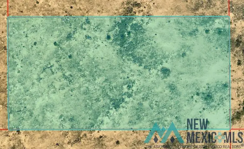 0000 S: 31 T: 14s R: 26e S2ne4sw4ne4, Hagerman, NM 88232 - #1