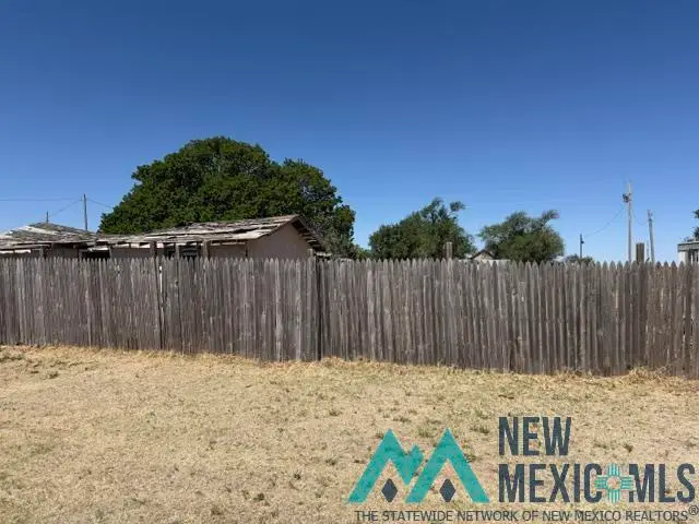 216 S Broadway Ave, Grady, NM 88120 - #3