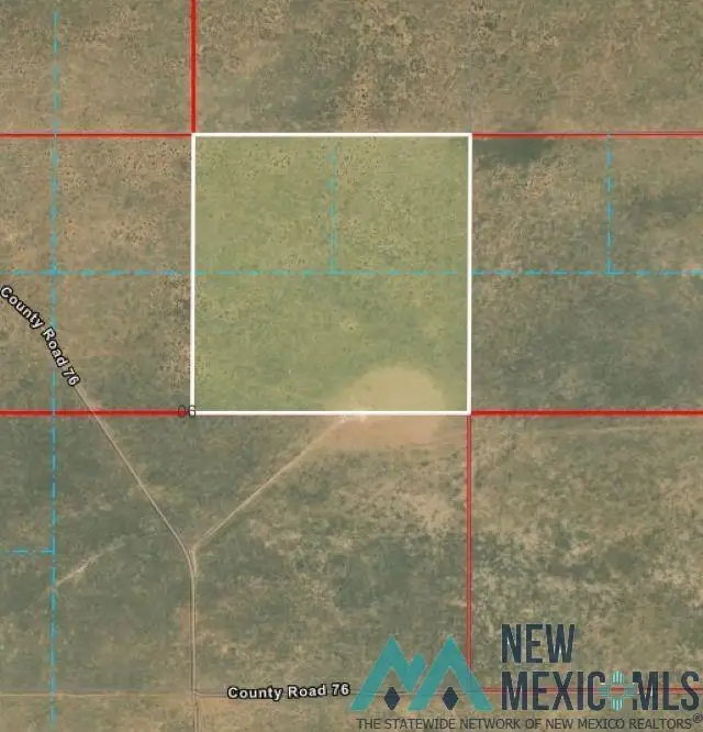 S: 6 T: 7s R: 30e Ne4, Roswell, NM 88203 - #1