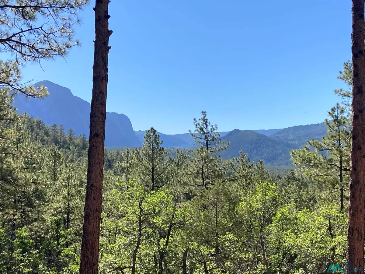 69 The Forks Road, Chama, NM 87520 - #1
