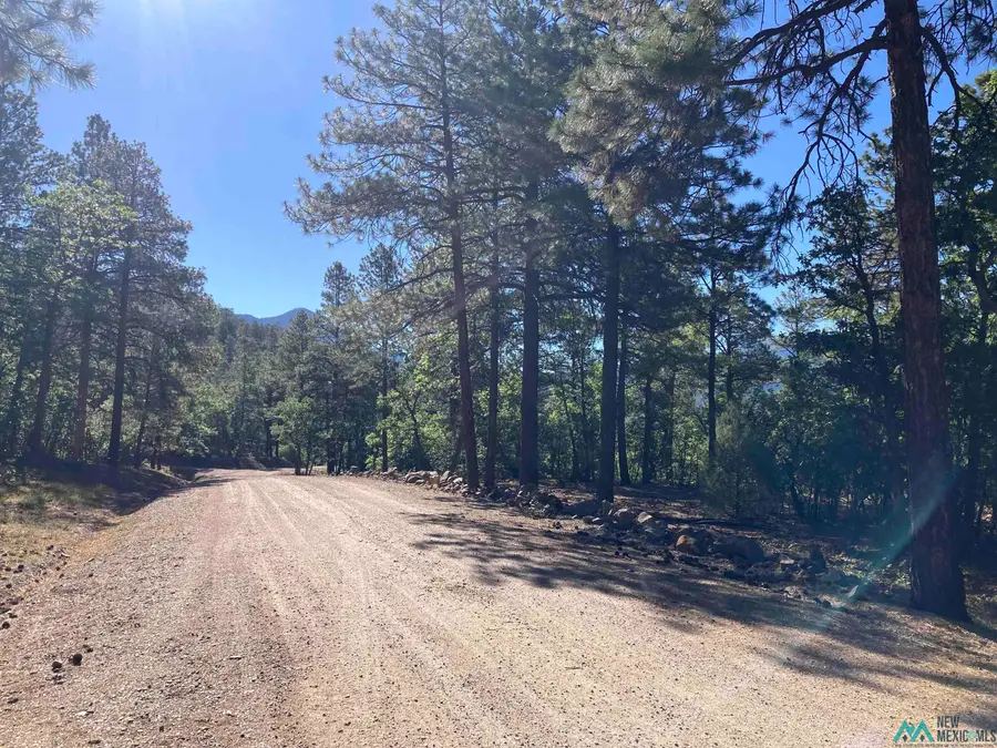 69 The Forks Road, Chama, NM 87520 - #3
