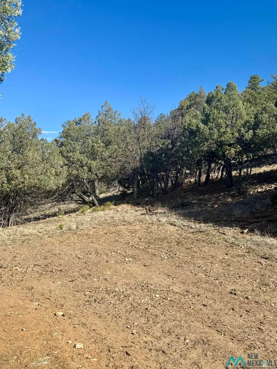 Buena Road, Rutheron, NM 87551 - #2