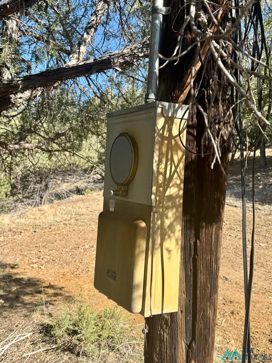 Buena Road, Rutheron, NM 87551 - #3