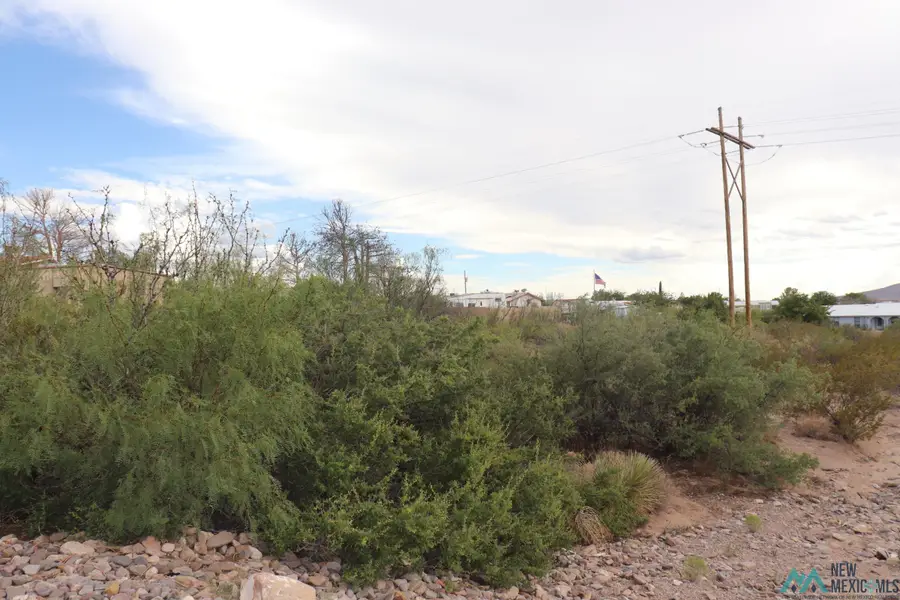 206 San Mateo Street, Elephant Butte, NM 87935 - #2