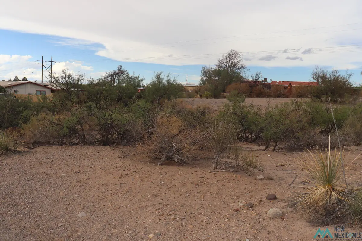 207 Black Range Street, Elephant Butte, NM 87935 - #1