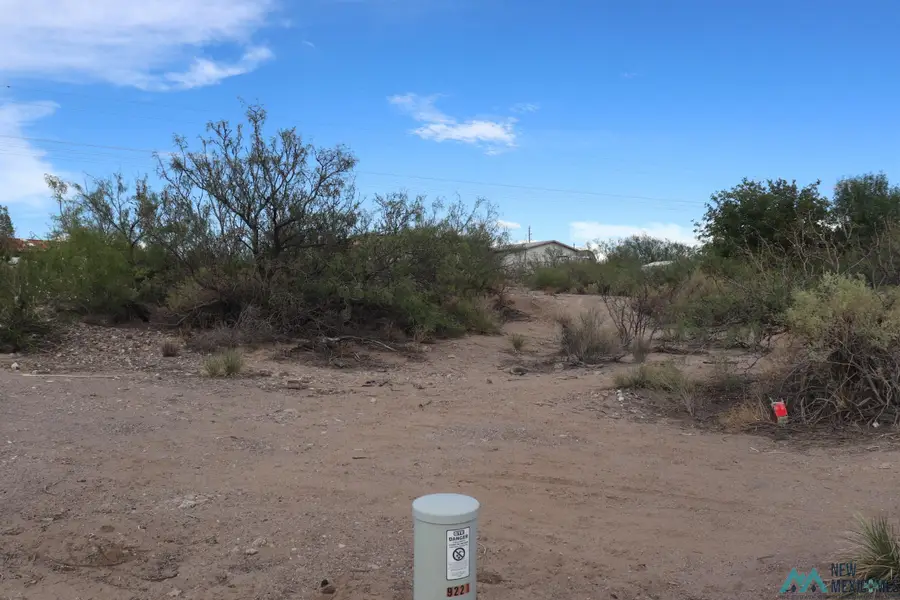 207 Black Range Street, Elephant Butte, NM 87935 - #2