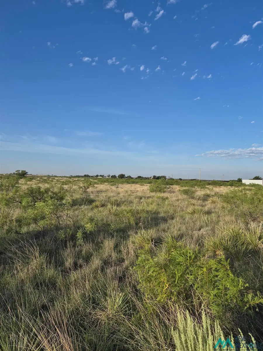1789 Moreland Road, Portales, NM 88130 - #3