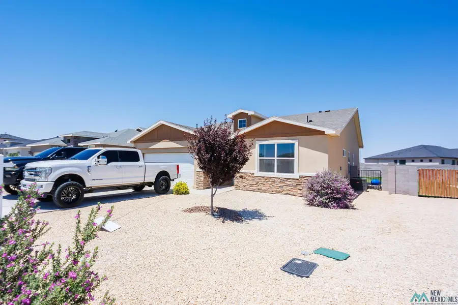 3605 Saguaro Road, Carlsbad, NM 88220 - #2
